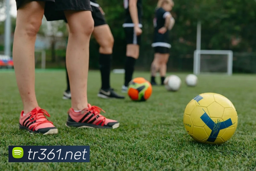 米兰app登录入口品牌故事